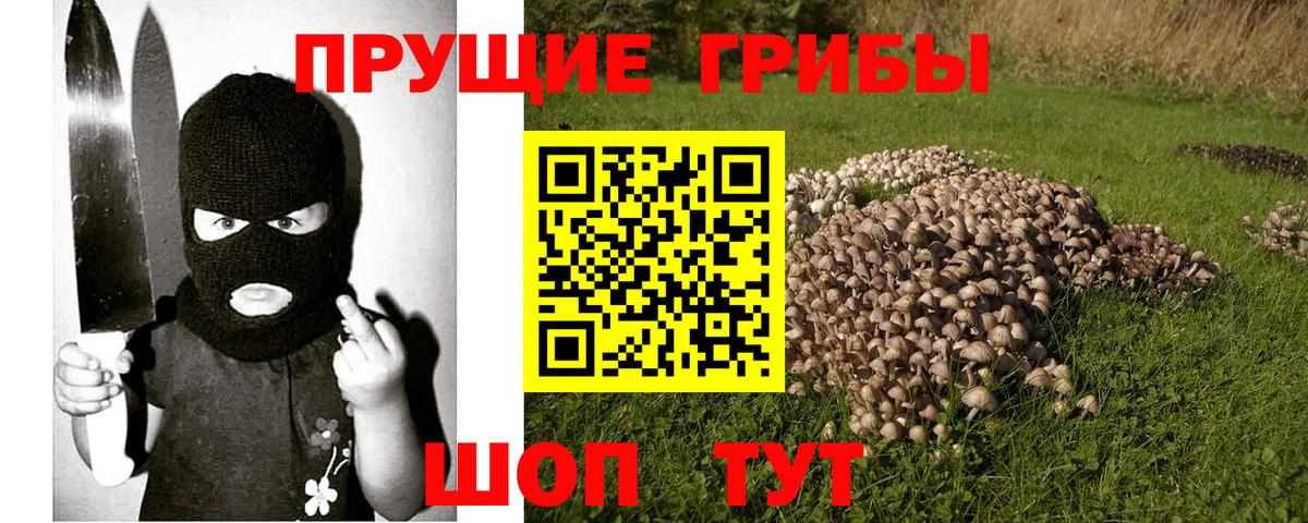 Армавир  Псилоцибиновые грибы мицелий  Вход с VPN  Галлюциногенные грибы Cubensis 