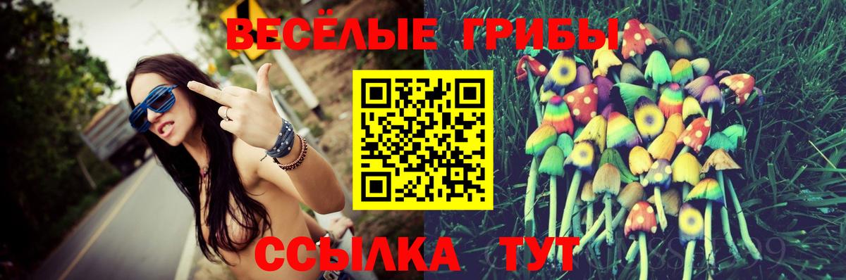 Псилоцибиновые грибы Cubensis Армавир